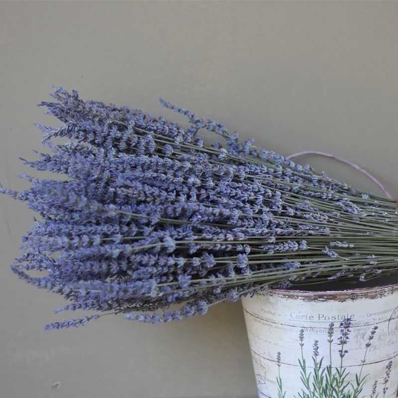 wholesale beautiful dried lavender for home decoration