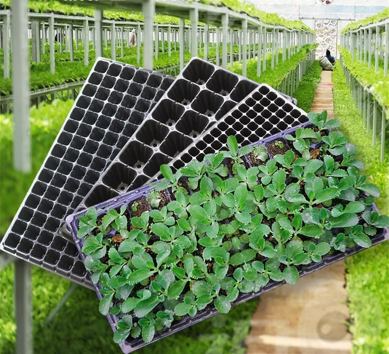 plastic cell nursery tray, seed tray ,seeding tray