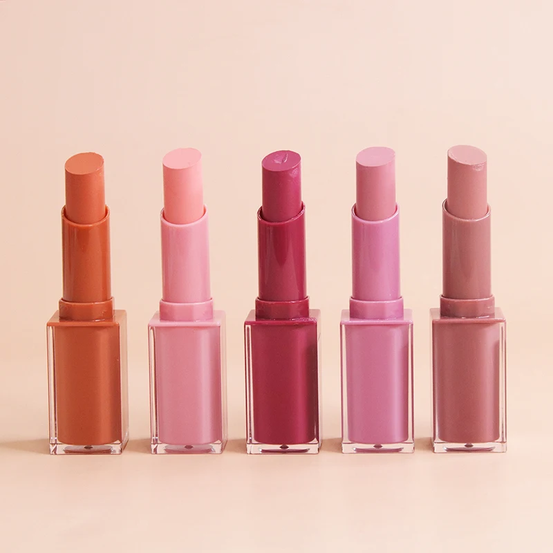 Customized Makeup Waterproof Beauty Water Feeling Custom Logo Nude lipstick kit