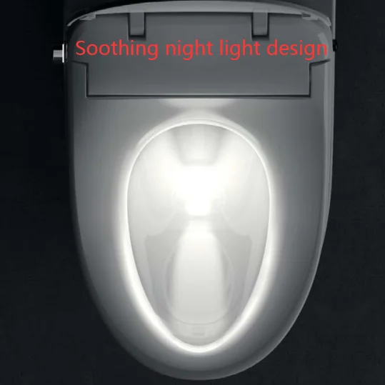 Toilet seat bidet smart toilet lid with remote control bidet seat