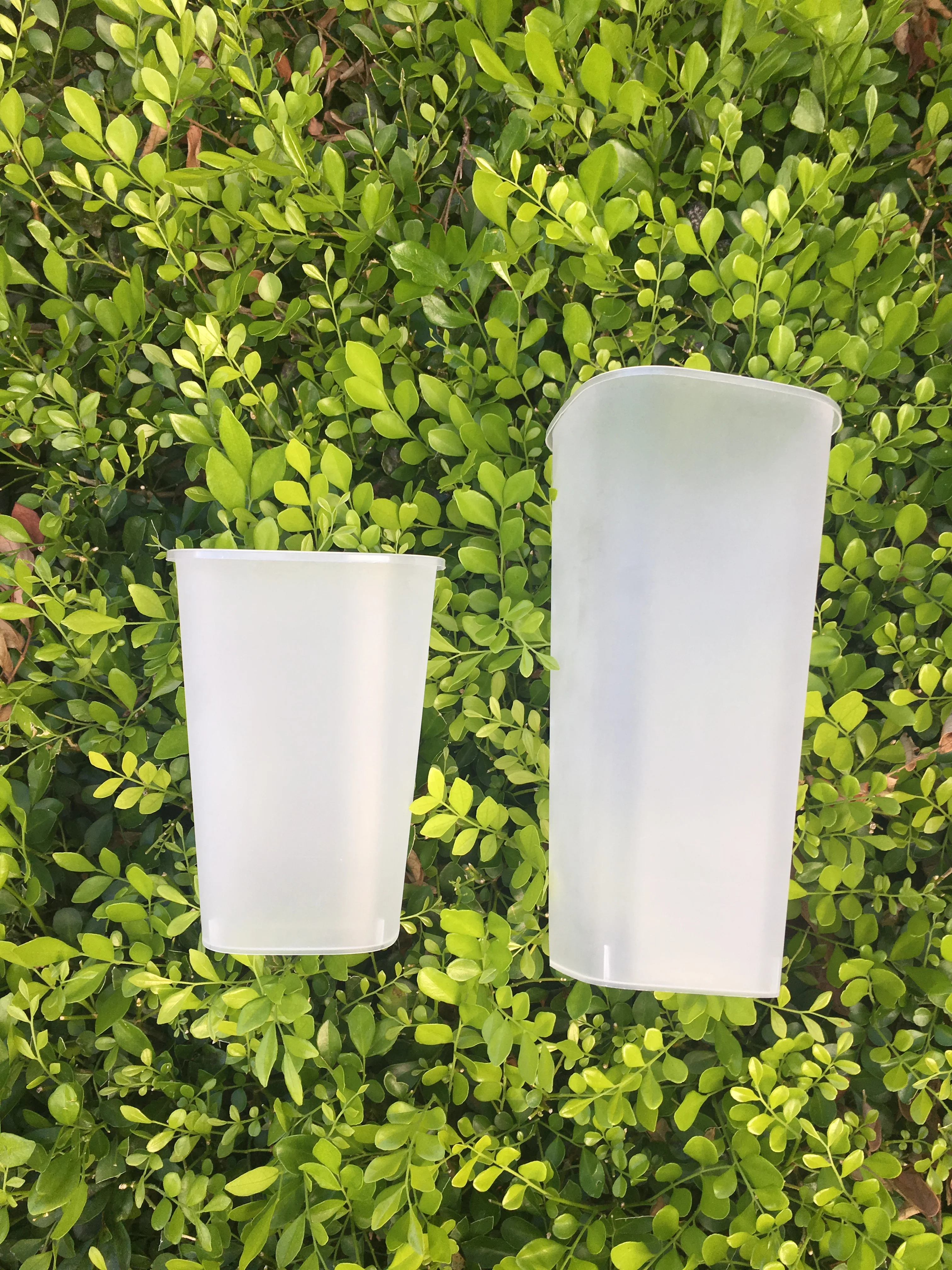 Good quality thickened 94 caliber 650ml transparent frosted injection plastic square