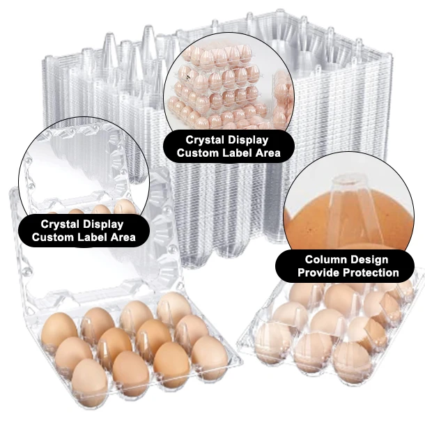 Recyclable Plastic Egg Tray 12 Cell 3x4 Reusable Disposable Egg Tray Egg Packing Trays Supply