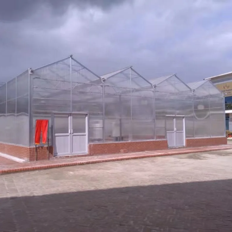 Agricultural Greenhouse from china greenhouse factory