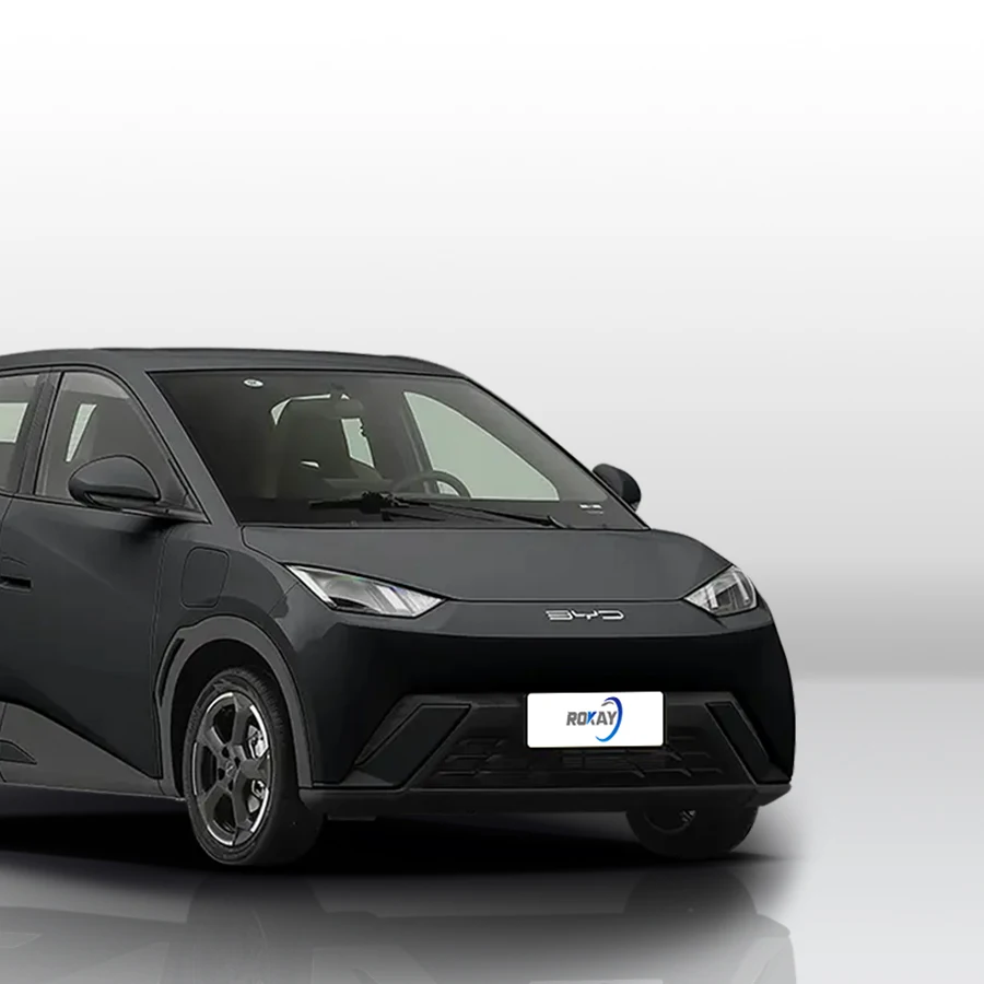 2025 версия динамизма чайки Rokay Auto Новый энергетический Электромобиль купить электрический внедорожник для продажи