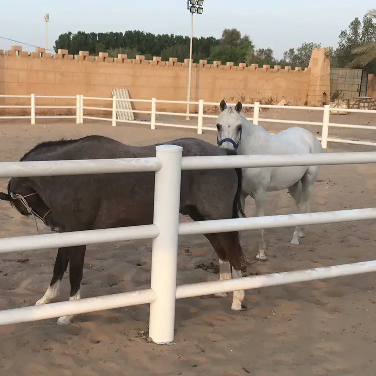 2023 Fentech High Quality PVC Plastic Farm Fence Trellis Gates Waterproof Racing Track Paddock with Quality Brand Name