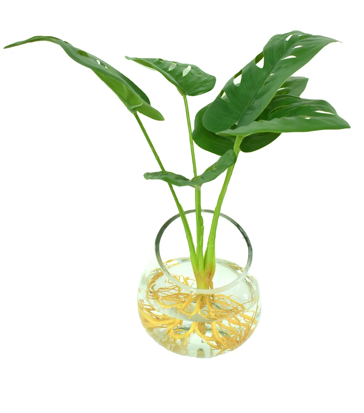 2022 Custom Wholesale Size Indoor Home Green Leaf Bonsai Small Artificial Plants With Pots