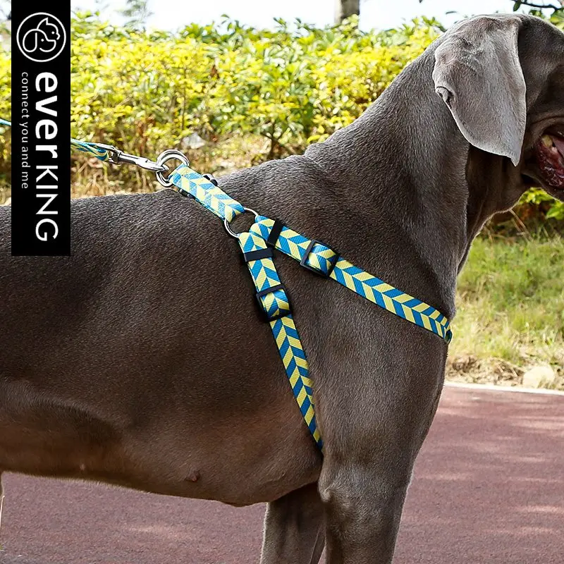 Pet Leash, dog leash, medium-sized large dog leash dog collar