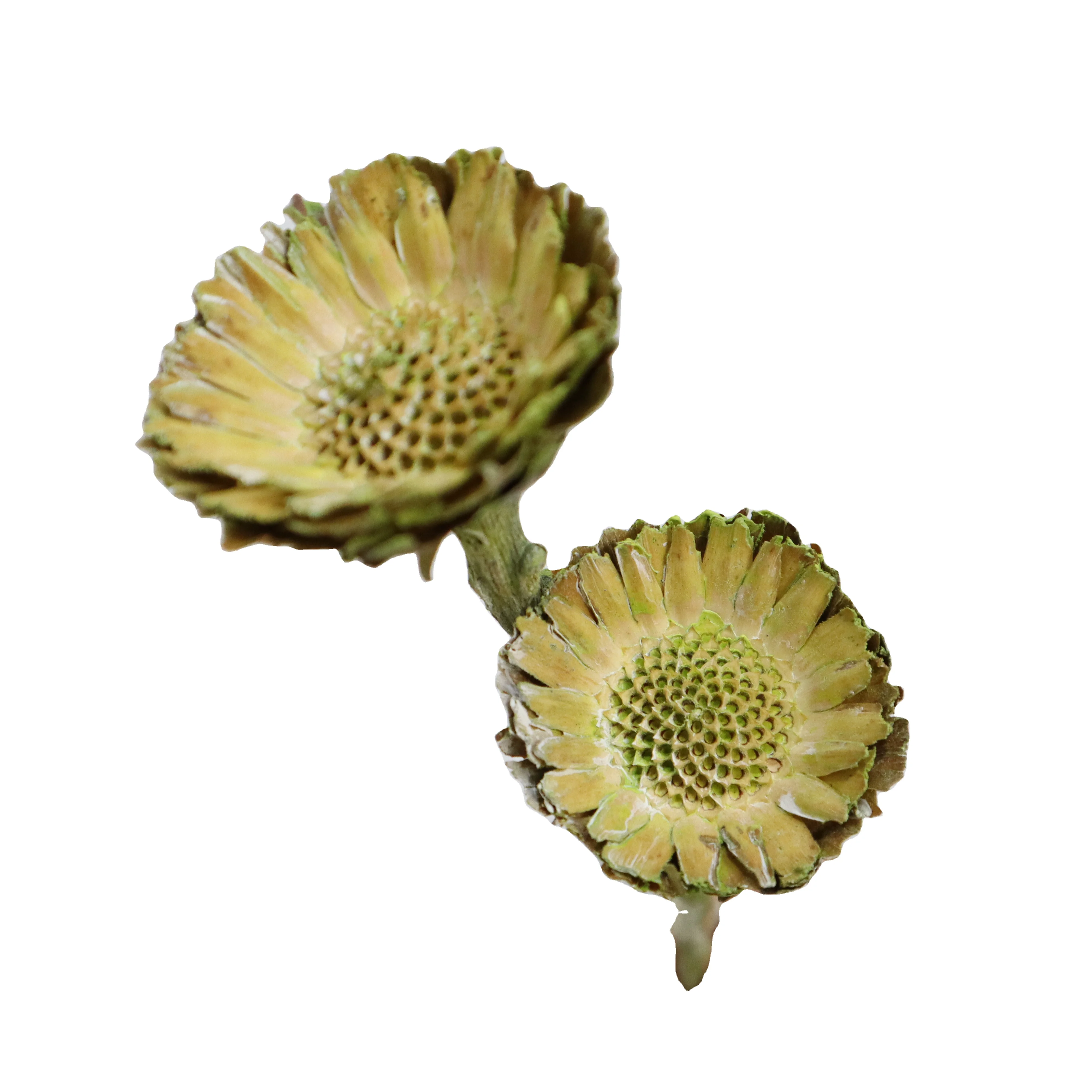 Amazon Cheap Wholesale Dried Flowers Natural Ornamental Africa Sun Flower For Home Decoration