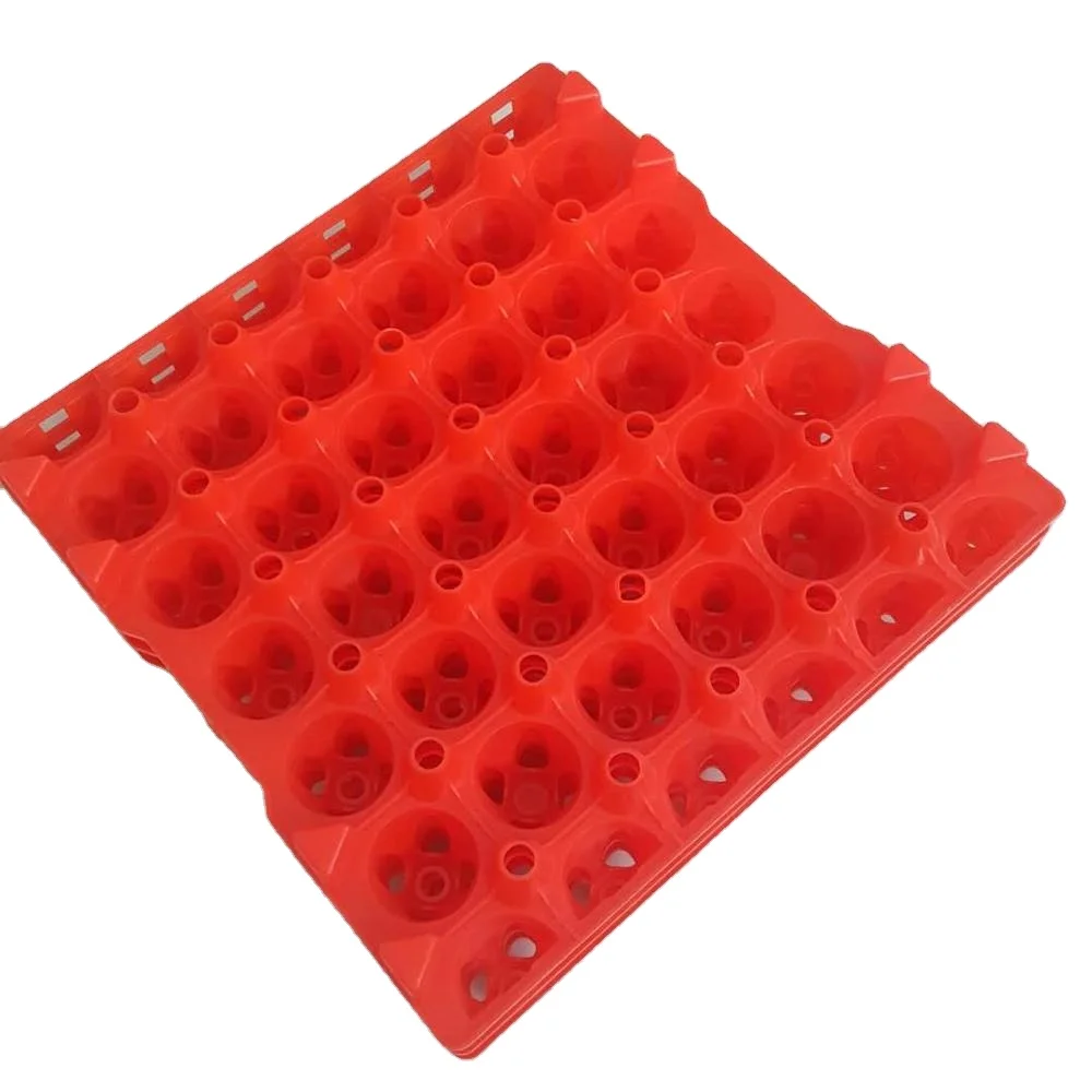 Injection type 30 cavity plastic egg tray / egg form for egg transportation