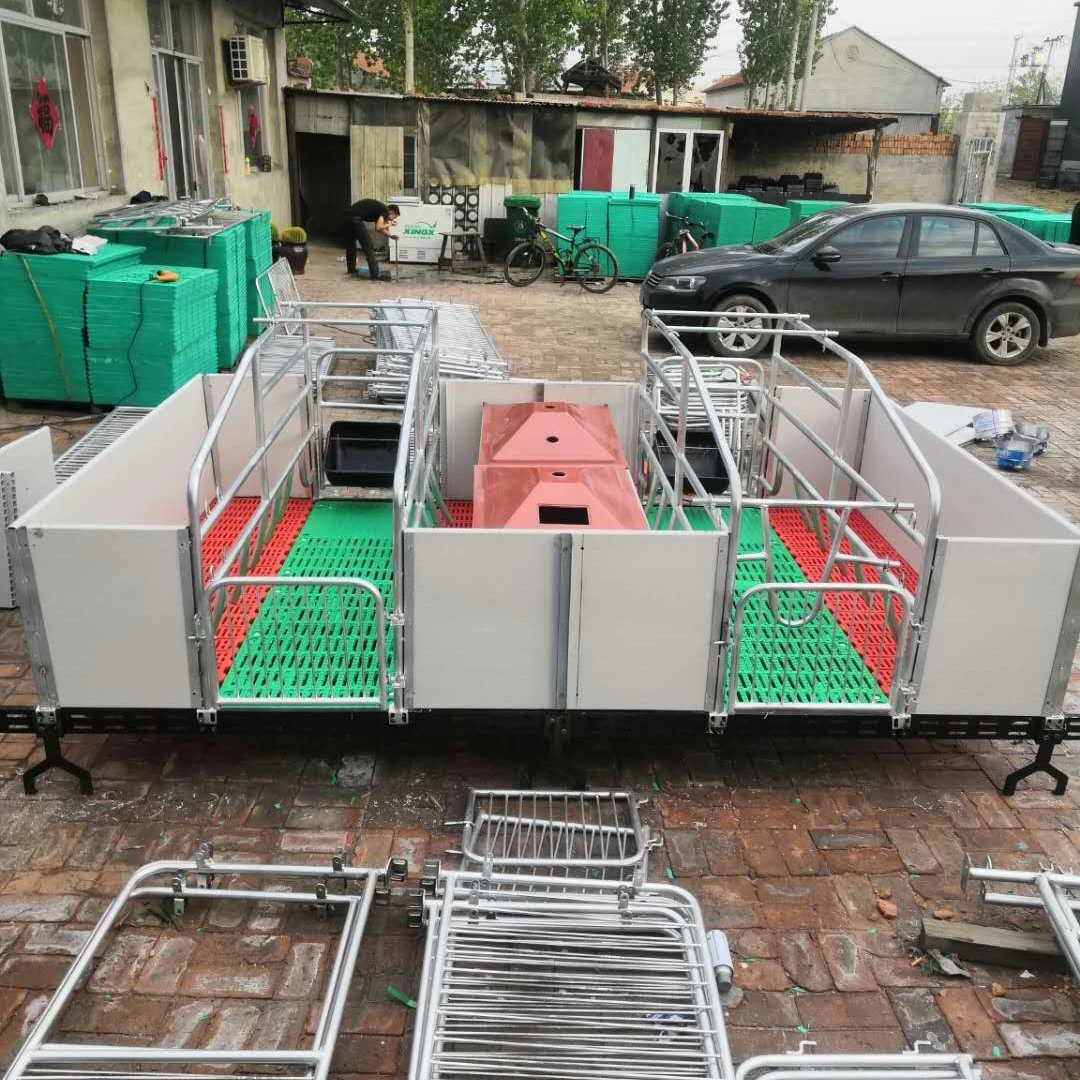 Pig Farrowing Crate cage For Sale