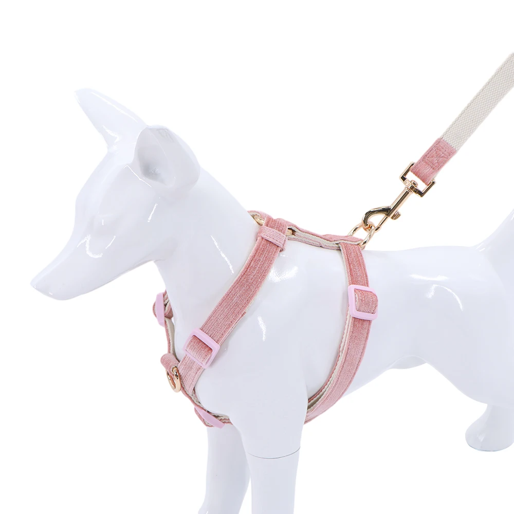 Golden velvet dog  leash collar for Multi Size Customized  Accepted dog collar Dual Dog cat Leash harness set