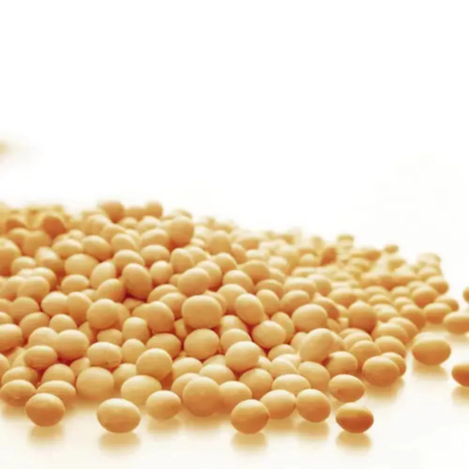 
 2021 урожай китайских соевых бобов с высоким содержанием белка/соевых бобов для продажи  