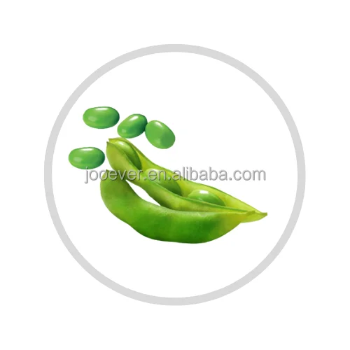 IQF Frozen Soybean Edamame Bean Kernel Premium Quality Frozen Vegetables