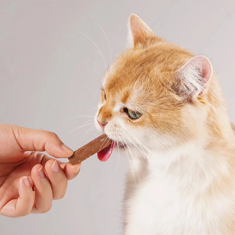 Wholesale High Quality Pet Treats and Food Lecithin rich Crunchy FD Pigeon and duck Blood for dog cat snack