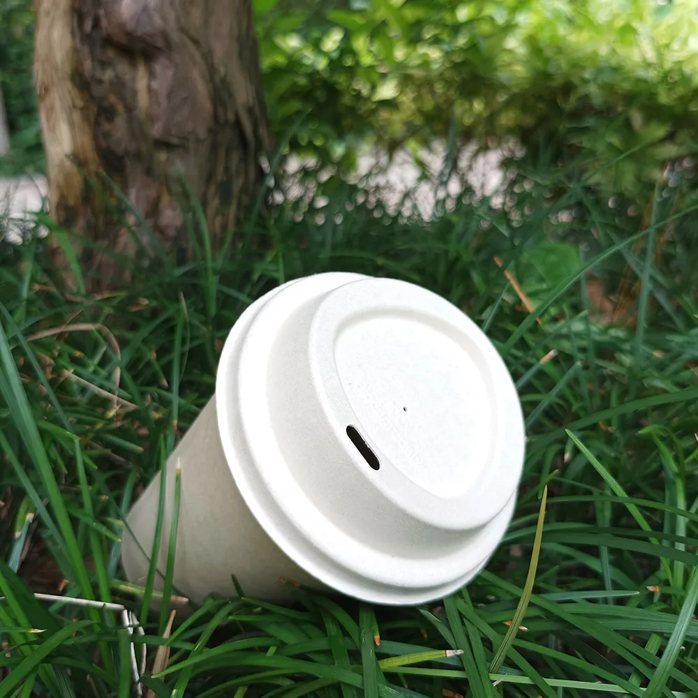 Free Sample Sugarcane Bagass  Pulp Disposable Biodegradable Coffee Cup Lid Custom Manufacturers