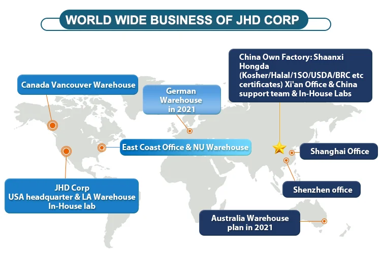 
China USA warehouse stocks supply hot selling different specification astragalus root extract 4:1 10:1 