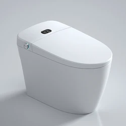 USA Local Stock Home Bathroom Wc Cheap Toilet Bowl Sanitary Electric Smart White Auto Toilet