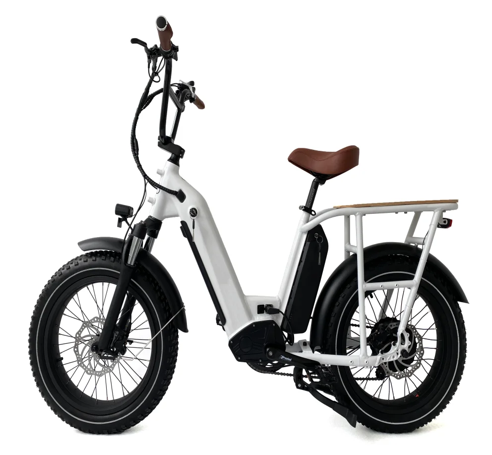 Wholesale Cargo E bike 1000W Long Range City E bike Fat Tire Electric Delivery Bike E Bicycle