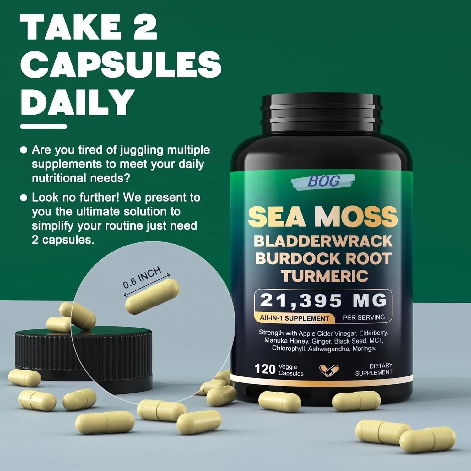 OEM/ODM Amazon Hot Sale Shilajit Sea moss black seed oil ashwagandha Ginger Capsules Supplement for Immunity