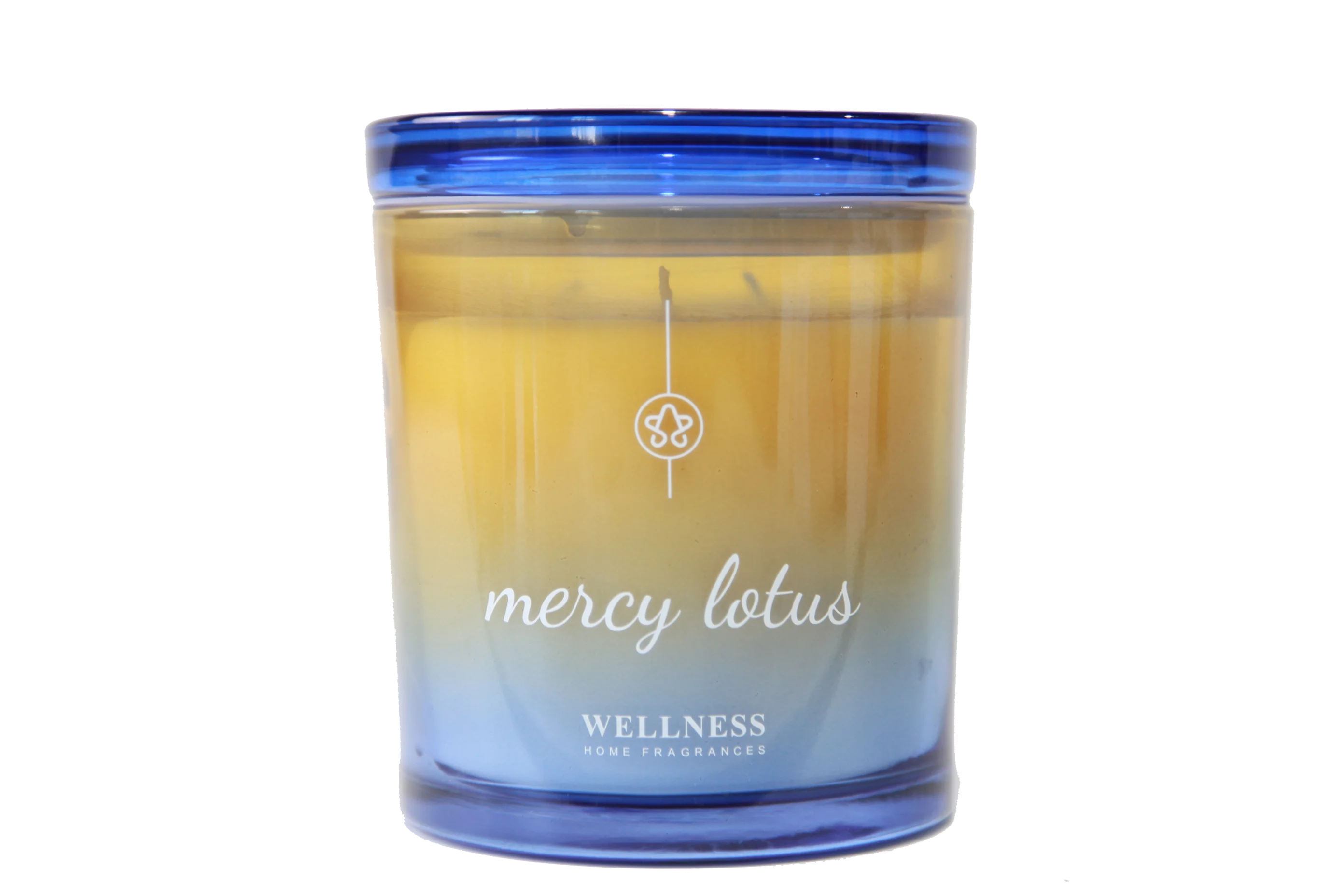 Custom Home Decor Scented Soy Wax Candles Luxury Hand Made Ion Plating Electroplate Candles & Home Fragrance Gift Set