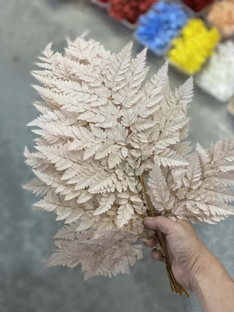 High Quality  Real Preserved Flower Natural Dried Fern Leaf  Dried Flowers For Decoration