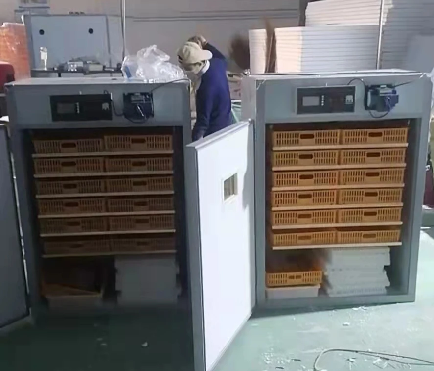 automatic solar 1000 chicken egg incubators + full set solar kits