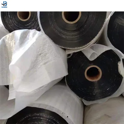 China Manufacturers Chemical Treated PET Film 12 Micron PET Film