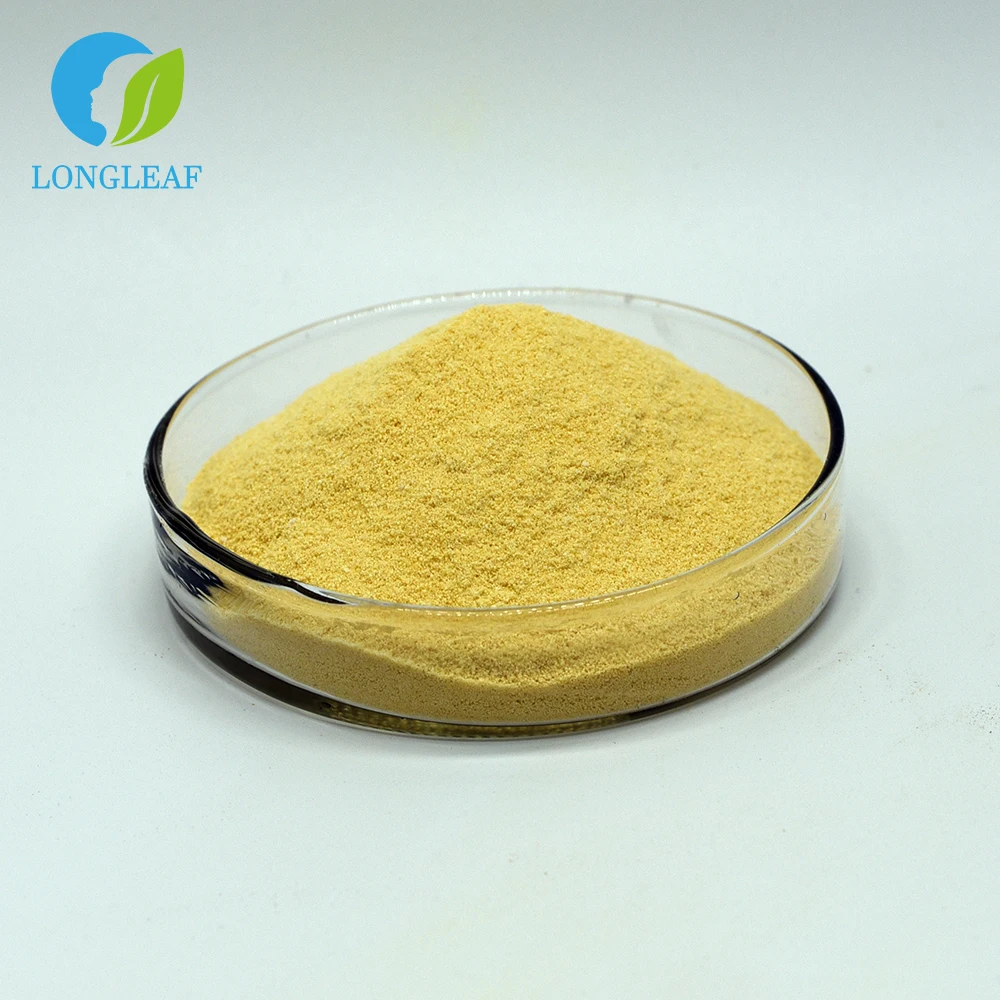 Factory Wholesale Price Lysine Powder DL Lysine Base