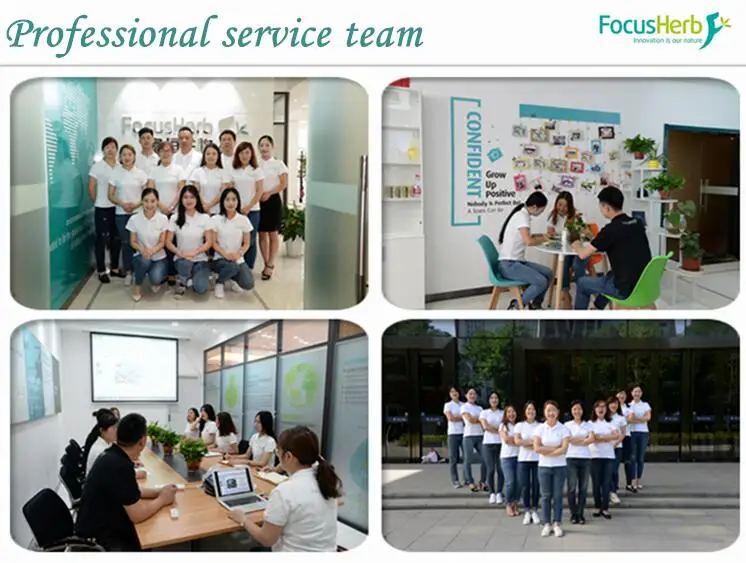 
factory supply pure natural food colorant Sodium Magnesium Chlorophyllin,sodium copper chlorophyllin 