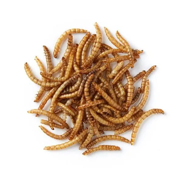 Bird Food Live Yellow Mealworm For Raw Material Seeds