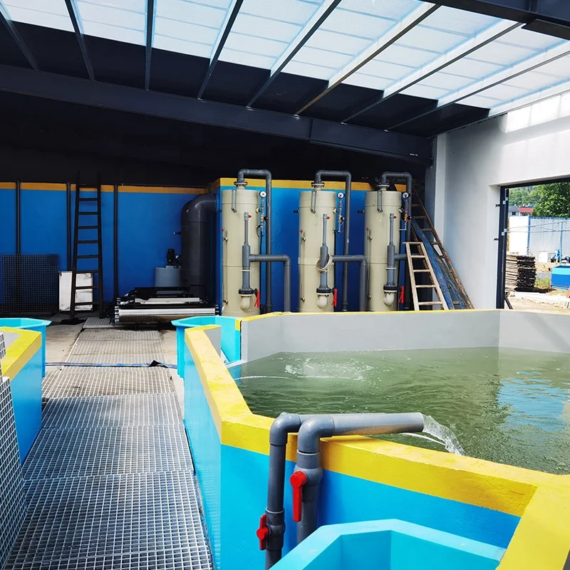 Indoor recirculating aquaculture system fish farming RAS Solution for Tilapia Fish farming