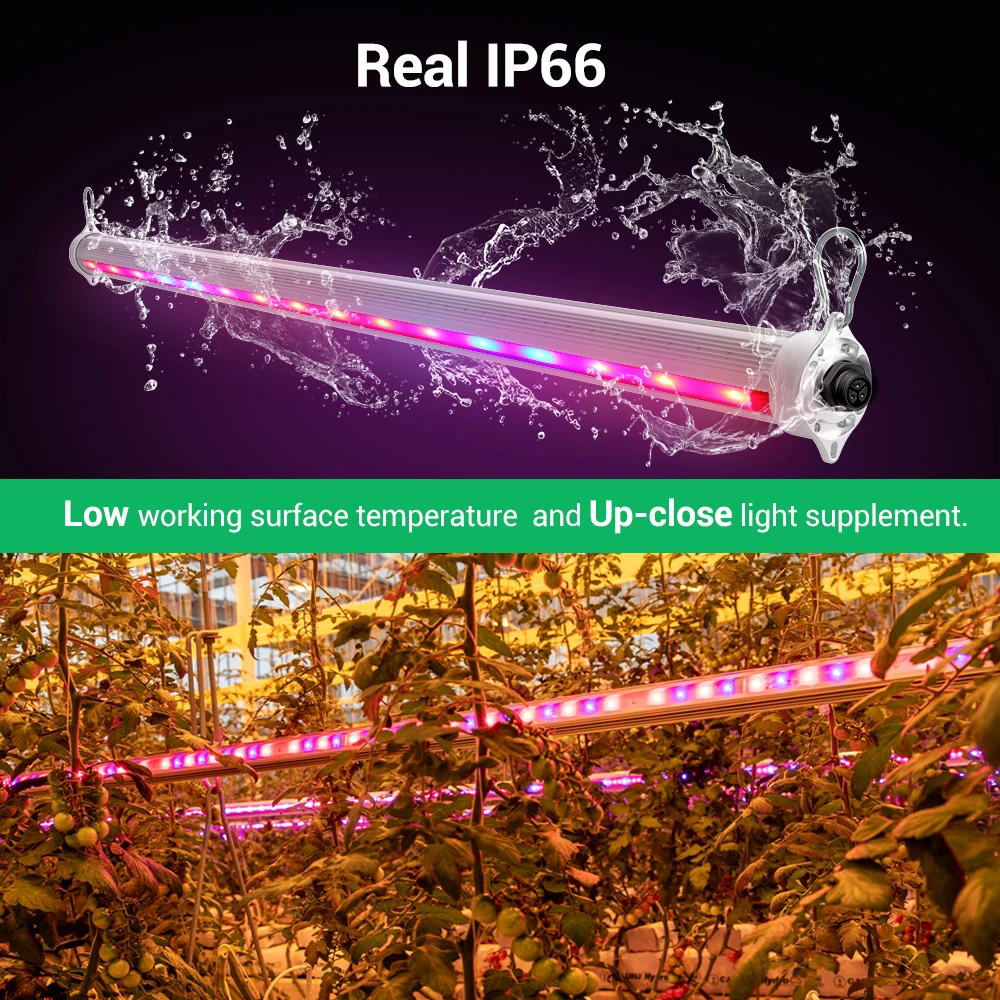 INNOLUX 3030 Blue and 660nm LED strip grow lights bar 4 sides 60W 120W Tomato Vegetable inter Led Grow Light
