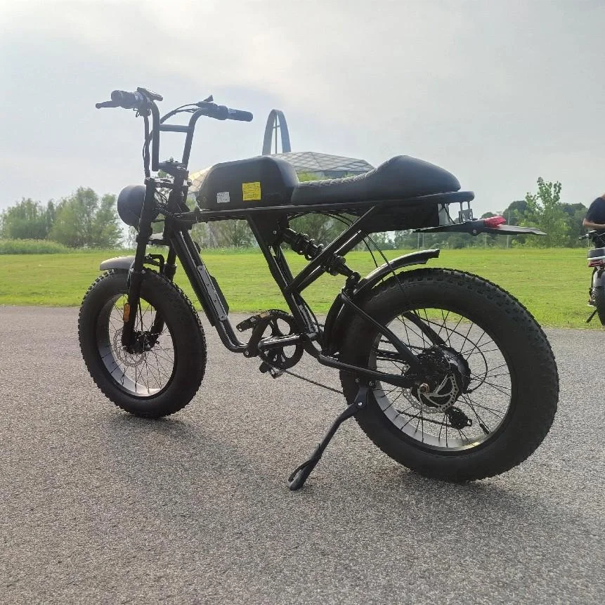 Hot Sale Eec 20inch Dutch Retro Classic Ebike City Bike Electric Bicycle 700c