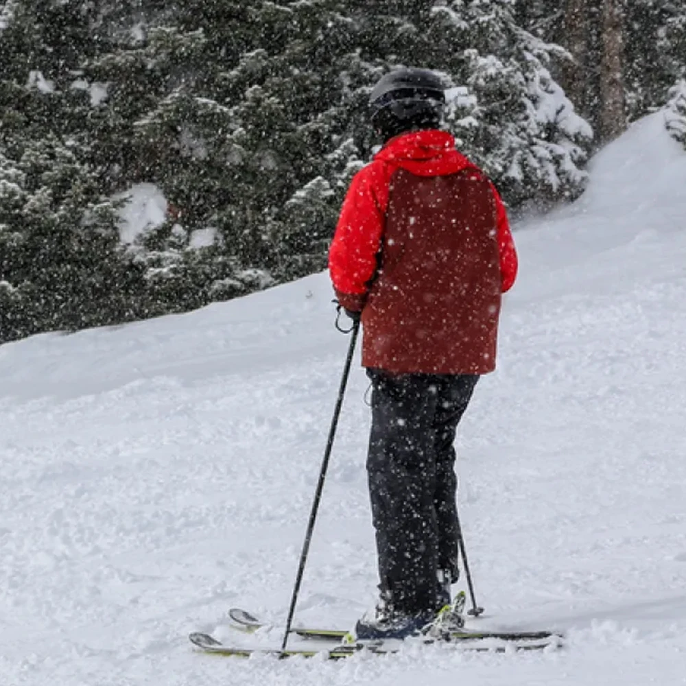 Brand partner manufacturer cross country alpine ski poles/nordic ski pole