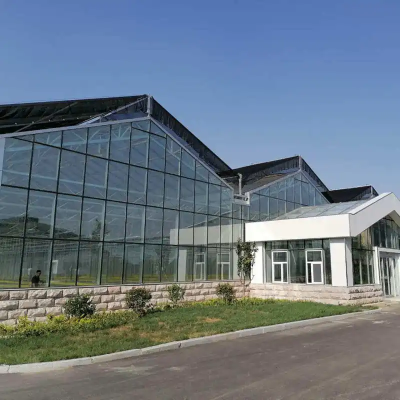 Коммерческое покрытие теплицы из стекловолокна с системой климат-контроля