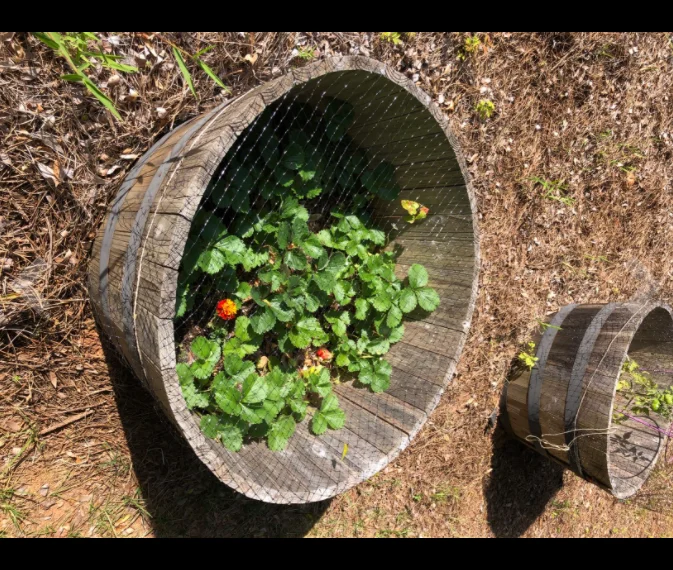 deer fence netting 7 x 100 feet bird netting anti bird deer protection net reusable garden netting for plants fruit trees vegeta