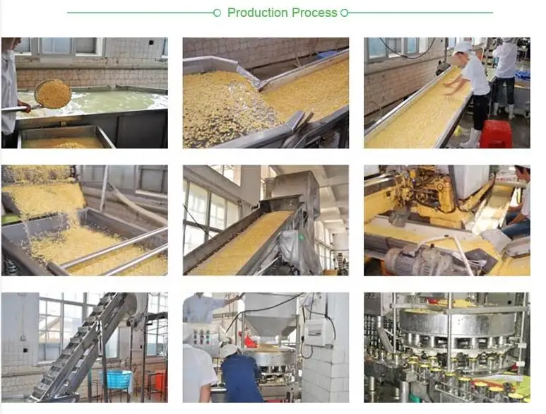 Corn Can Supplier Wholesale Canned Sweet Corn in  Brine