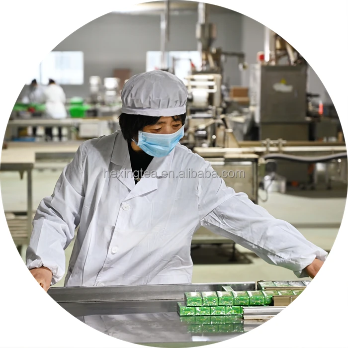 China 41022 AAAA Te 41022AAA Flecha Quality Extra Chunmee Quality Chunme El Marwan 25g Extract Leaves Chinese Green Tea