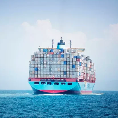 Международные деловые услуги Бельгия/Нидерланды/Франция/США наличные услуги морской компании по доставке