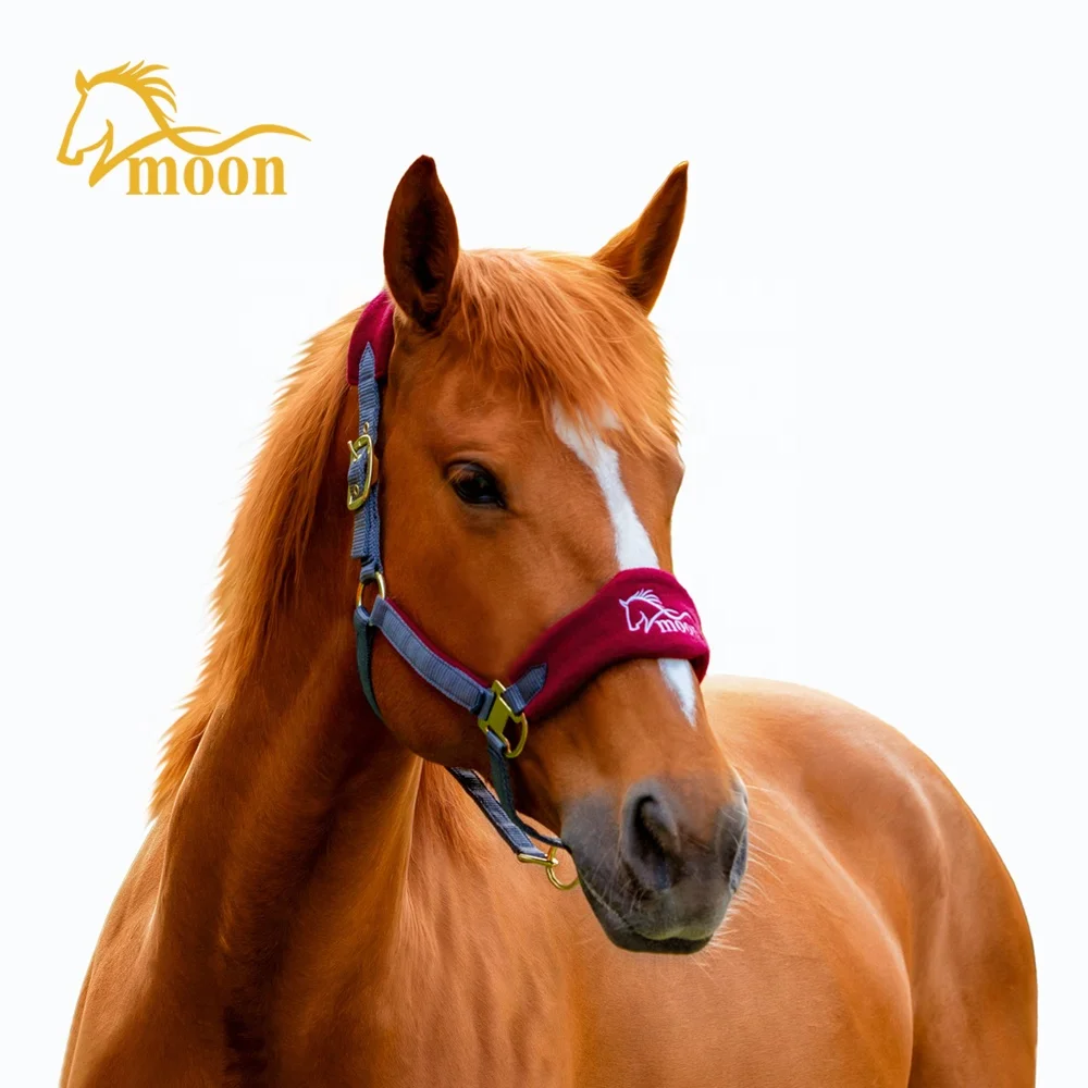 New arrival horse equestrian customized design riding horse halter  western personalized safety horse collar harness