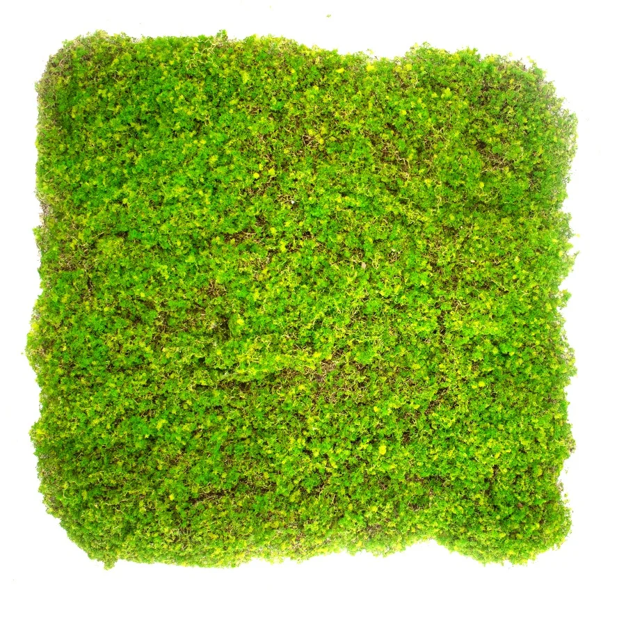Artificial green moss 50cm x 50cm for vertical base application