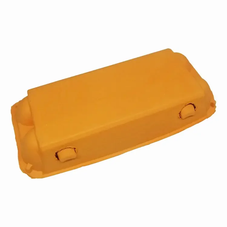 Custom Eco friendly molded pulp color egg box packaging tray sugar cane molding pulp packaging