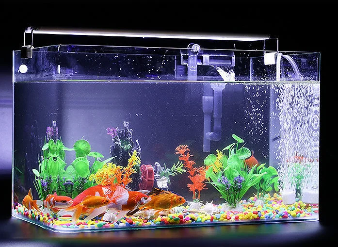 2022 factory wholesale hot bending transparent glass fish tank home landscaping small and medium ecological fish tank aquarium