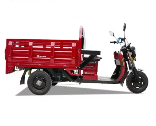 High quality  For Cargo Tricycle Electric And Electric Tricycles 3 Wheel Electric Cargo Bike For Sale