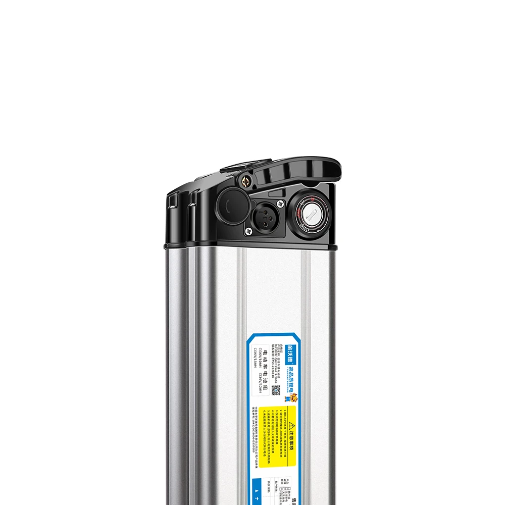 
Supplier Of Manufacturers Custom 60 24 48 V Volt E-Bike Battery 