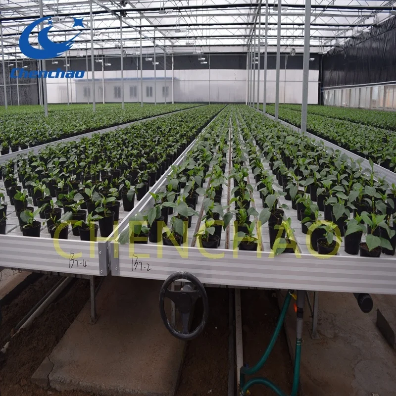 
Premium Plant growing trays ebb and flow rolling tables 