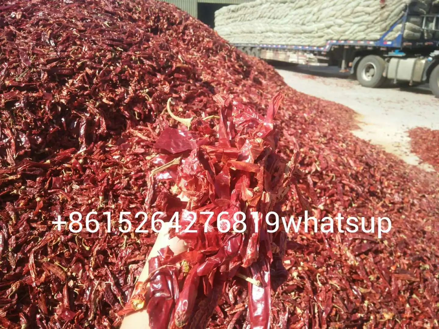 Spain Hungrain Style Paprika Paprika Pods Red Pepper Pods and Red Repper Rowder 8615264276819whatsup