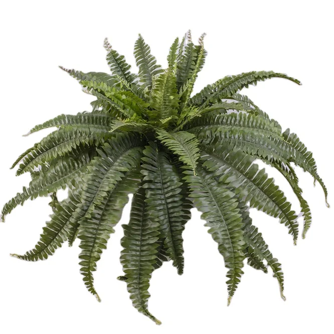 New Arrival Wholesale Supplies Artificial Boston Fern, small artificial indoor house green plants and artificial ferns leaf