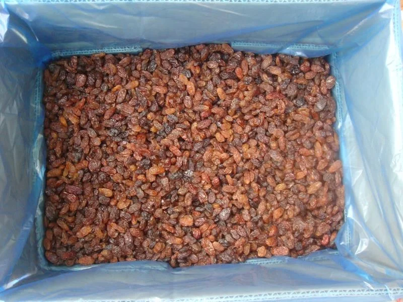 Сушеный на Солнце Изюм Султаны/коричневый изюм без семян