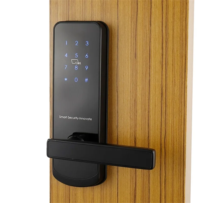 Keyless lock smartek for entry door, input the password, Wi-Fi, electronic digital smart lock for entry door